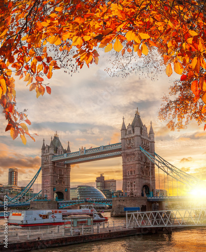 Dekoracja na wymiar  tower-bridge-z-jesiennymi-liscmi-w-londynie-anglia-wielka-brytania