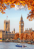 Fototapeta Big Ben - Big Ben with autumn leaves in London, England, UK