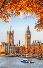 Big Ben With Autumn Leaves In London, England, UK