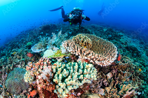 Plakat Nurek nurkowy z kamerą pływacką nad kolorową, zdrową, tropikalną rafą koralową
