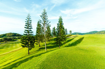 Golf course in the countryside. 