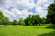 © Zenzeta - Green Park. Green Park in Urban City at Cloudy, excercise and relax
