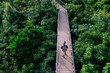 © twinsterphoto - Aerial view of young man traveling and walking on the forest walkway trail - travel and recreation concept