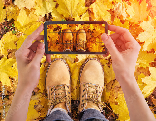 Plakat Kobiety mienia smartphone bierze fotografię żółci liście