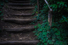 Old Wooden Stepway
