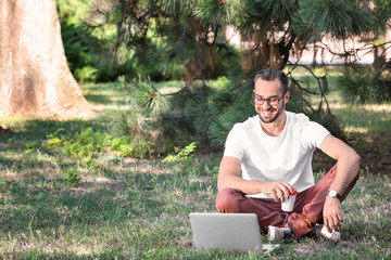 Wall Mural - Handsome man with laptop sitting in park