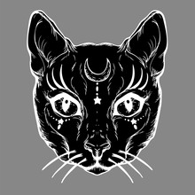 Pagan Magical Black Cat With The Symbol Of The Moon. Gothic Graphics. Wicca.