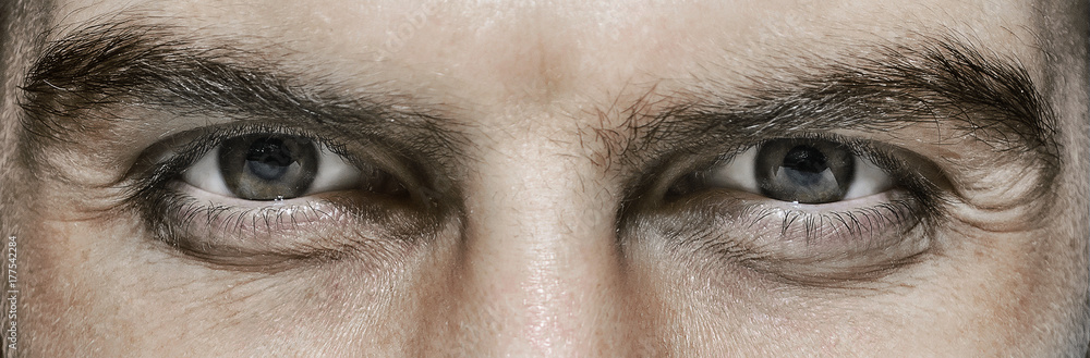 Portrait of a European male close-up with bristles on a gray background. male eyes close-up - obrazy, fototapety, plakaty 