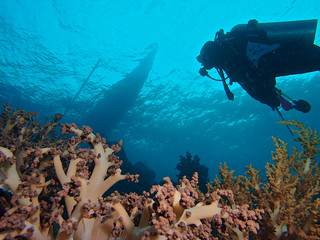 Wall Mural - Diver looking to a fisherman