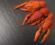 Boiled red crawfish ready to eat. Beer snack. Crayfish to beer. Red boiled crayfish on stone slate dark background. Border design with copy space for your text
