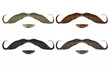 © kroytor - set vector Beard and swirl mustache different colors.
