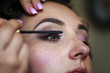 © shandor_gor - Wedding makeup artist making a make up for bride