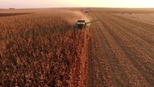 Aerial Drone Shot Of A Corn Harvest