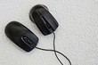 © butus - две чёрные  компьютерные мышки с проводом на серой поверхности