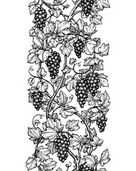 Canvas Print - seamless illustration of grapes.