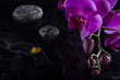 Orchid, stones and amber