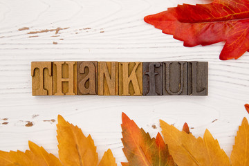 Wall Mural - Thanksgiving Themed Background with Type Set Lettering