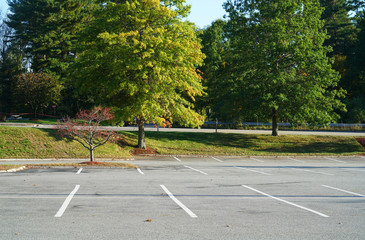 Wall Mural - empty parking lot with autumn trees