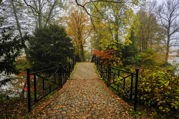Poster - Scenic view of misty autumn landscape with beautiful old bridge in the garden with red maple foliage.