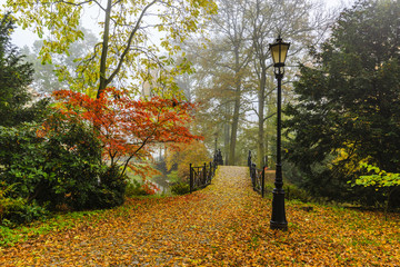 Poster - Scenic view of misty autumn landscape with beautiful old bridge in the garden with red maple foliage.