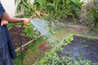 Watering garden bed