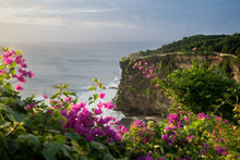 Bali Ocean Cliff Beach Flowers Evening Coast Sky Water Travel