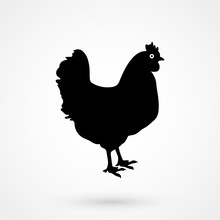 Chicken Icon, Vector Chicken Silhouette, Isolated Chicken Silhouette