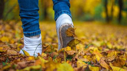 Wall Mural - A man stops walking. The girl's girlfriend's. Hot girls on the nature in the park among the leaves of yellow. Autumn park in bright colors