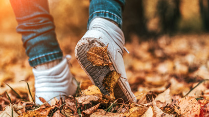 Wall Mural - A man stops walking. The girl's girlfriend's. Hot girls on the nature in the park among the leaves of yellow. Autumn park in bright colors