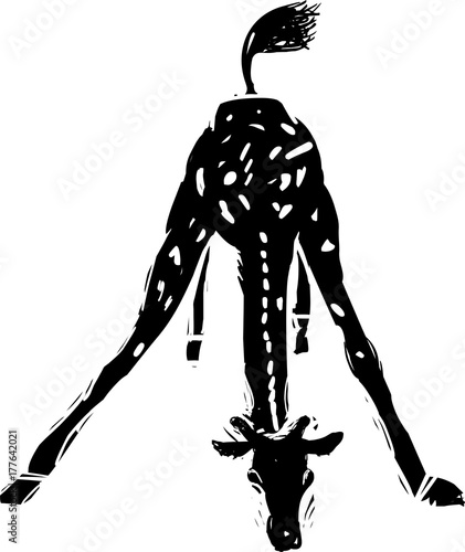 Giraffe drinking water Stock Vector | Adobe Stock