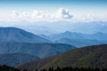 Wall Mural - Blue Ridge Mountains Smoky Mountain National Park wide horizon landscape background layered hills and valleys