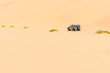 ein Geländewagen fährt durch die Wüste mit kleinen begrünten Sandhügeln, Namib, Namibia