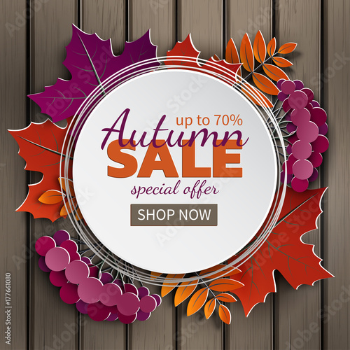 Autumn Sale Banner Paper Frame Colorful Tree Leaf Maple Rowan