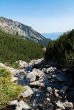 Fototapeta Natura - Pirin Mountain - Bulgaria