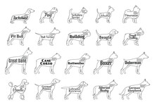Vector Dog Icons Collection Isolated On White. Dogs Breeds Names And Personality Description