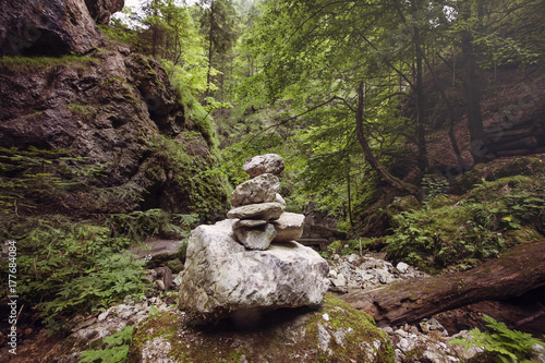 Plakat Zen kamienie w dzikiej przyrody