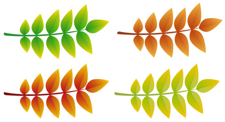 Wall Mural - colourful 3d ash leaves isolated on white background. vector.