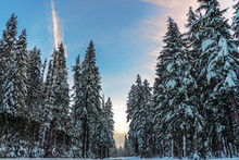 Snowy Winter Road | Crater Lake National Park, OR