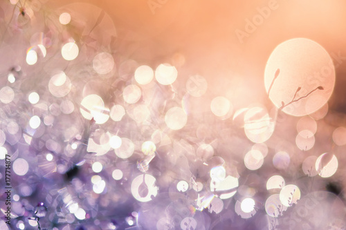 Dew drops on grass and blurred bokeh background