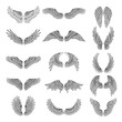 Monochrome illustrations set of different stylized wings for logos or labels design projects. Vector pictures set