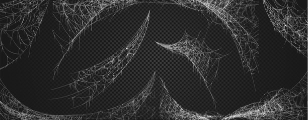 halloween decor, spider cobweb, hand drawn vector illustration.