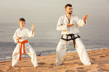 Wall Mural - Man and boy doing karate poses