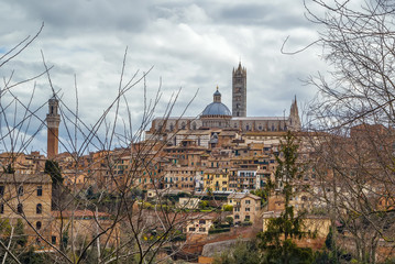 Wall Mural - view of Siena, Italy