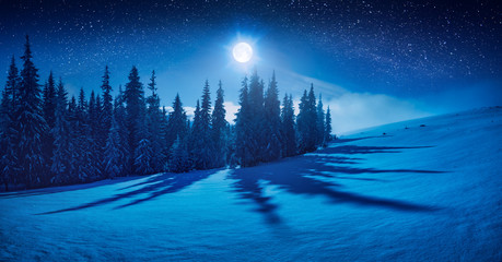 Wall Mural - Fairy winter night in a mountain valley