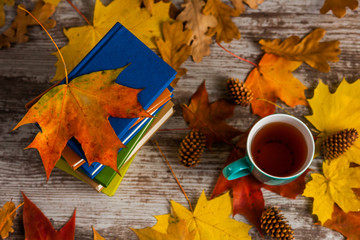 Autumn.A Cup of tea. Books colorful. Yellow red Leaves