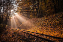 Budapest, Hungary - Rising Sun Falls On The Railroad Track Leading Through The Autumn Forest At Huvosvolgy