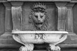 Lion sculpture on exterior wall of the Pitti Palace, Florence, Italy.