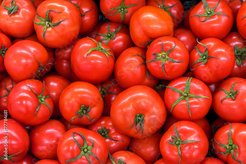 Cuadros en Lienzo Delicious red tomatoes in Summer tray market agriculture farm full of organic