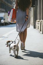 Young Woman With Shopping Bags Walking With Little Dog In The City