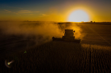 Wall Mural - Silhouette of harvest